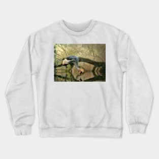 Crane Reflections Crewneck Sweatshirt